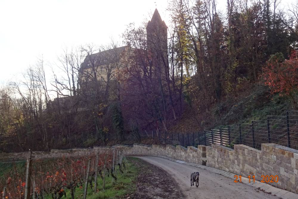 3 Burgen Eck Michaelsberg Neipperg Stocksberg November 2020 3 Burgen Eck Michaelsberg Neipperg Stocksberg November 2020